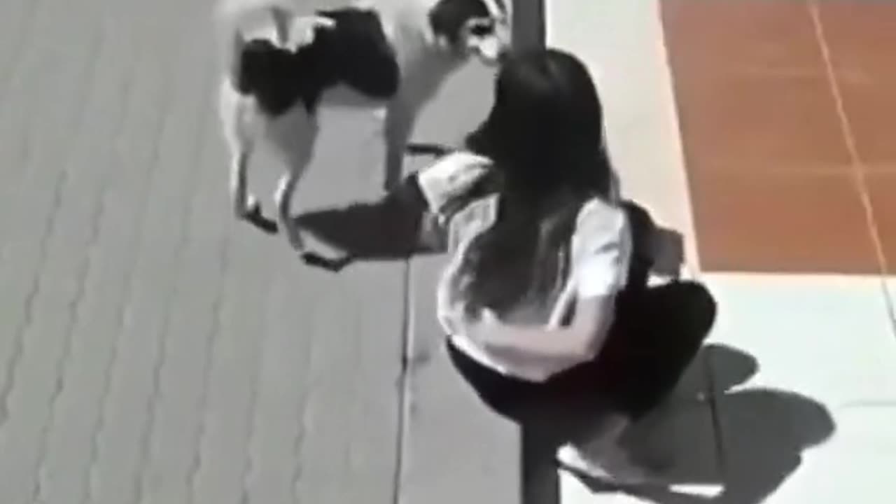 Funny reels