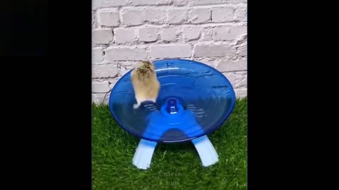 Cute& funny