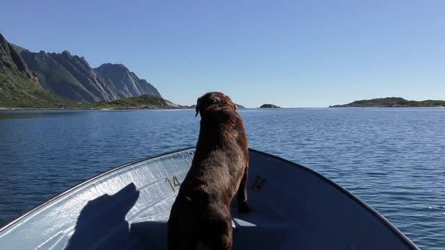 Norwegian adventure. Soft music. Nice views.