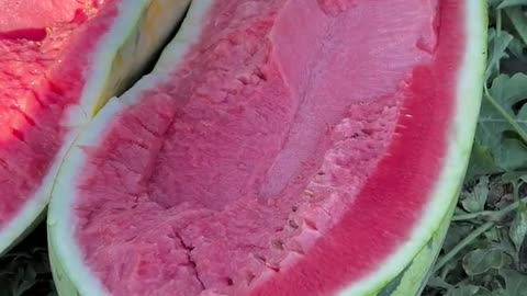 Watermelon is very crispy and fresh - Farm fresh ninja fruit cutting