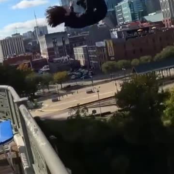 funny|prank|jokes|funny jokes|dad jokes|funny memes|funny video|fun|laughing|funny animal|knock