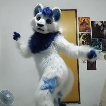 fantasia de urso dança polar