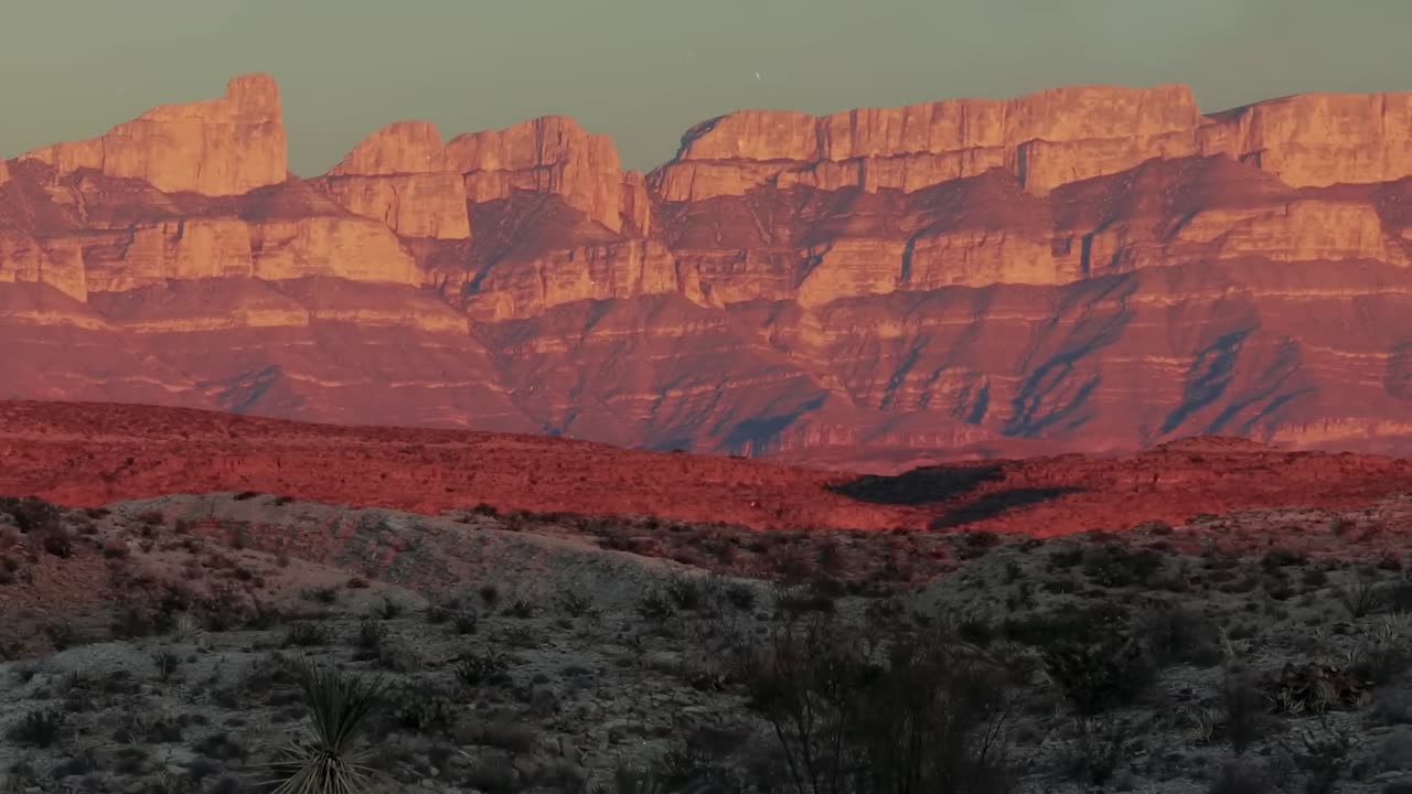 Willie Nelson - The Border (Official Audio)