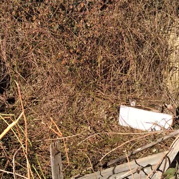 Двор старого дома