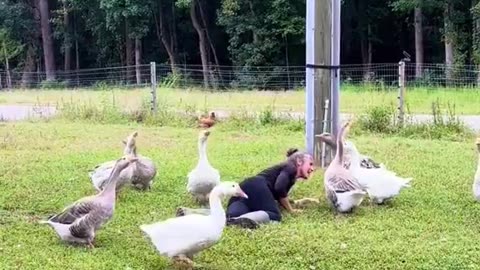 Woman pretends to faint to see how her geese would react