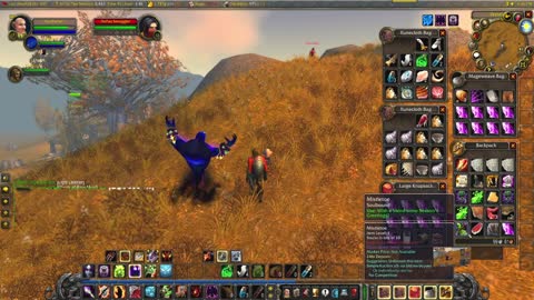 World of Warcraft Classic Warlock and a warrior train for the day