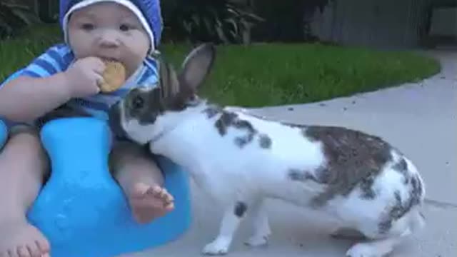 baby and rabbit