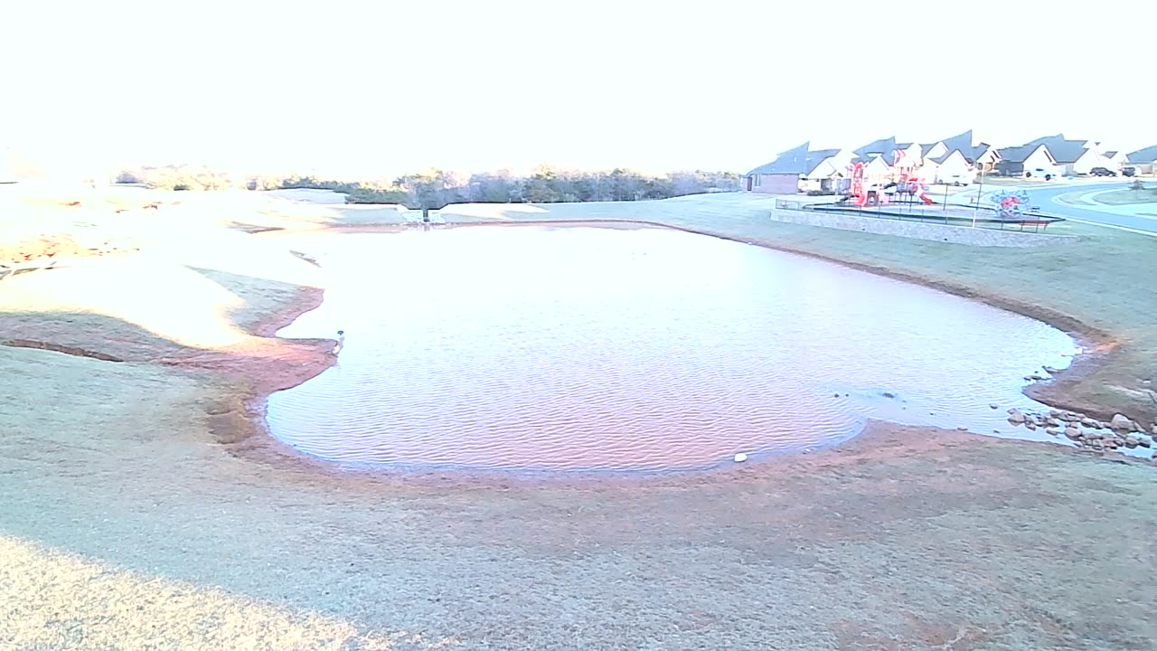 Thanksgiving on the pond