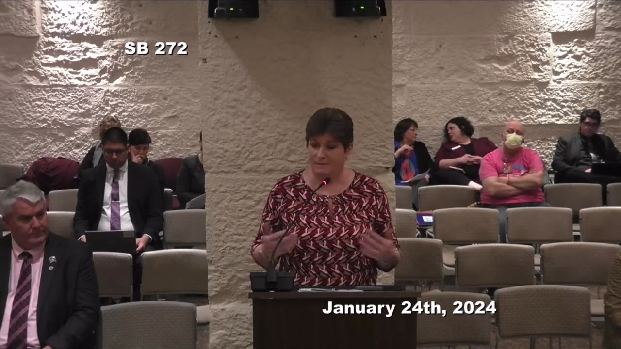 2024 Legislation - SB 272 - School Clinics