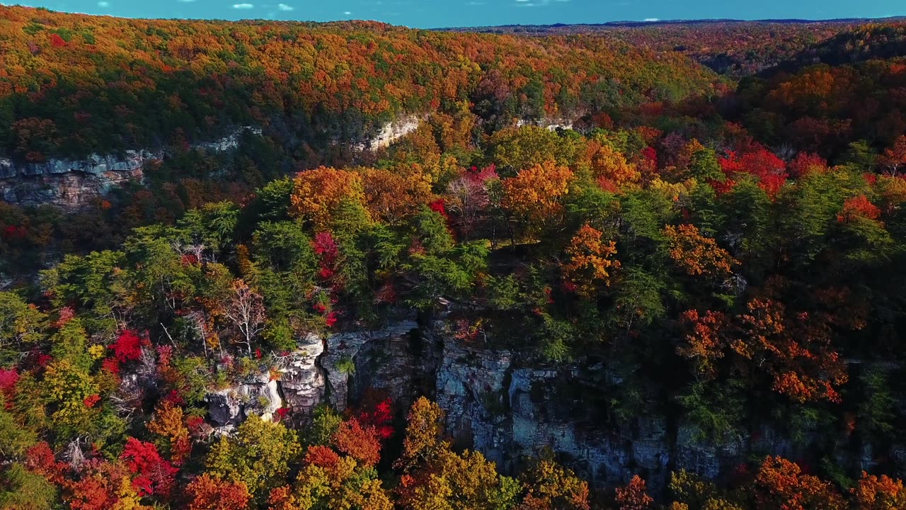 Bright Autumn Colors