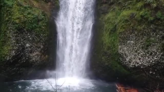 Beautiful Nature and Relaxing Waterfall #Short Video