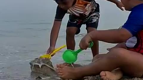 Children playing in the sea and sand