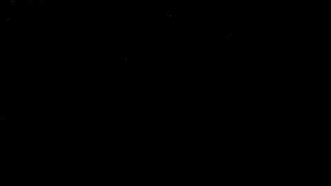 🌟