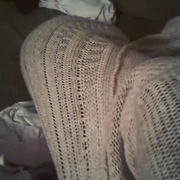 Dog Stuck In Sweater Pretends That He Isn't Trapped