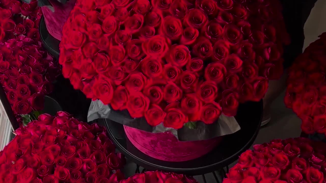 Beautiful flowers