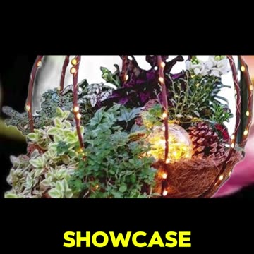 Discover Unique Christmas Traditions from Around the World!