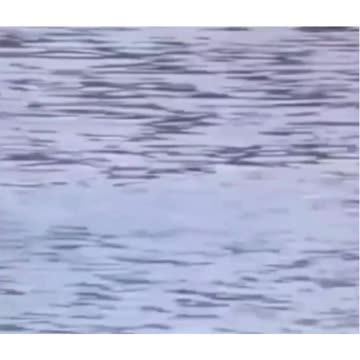 PGA Season Highlights