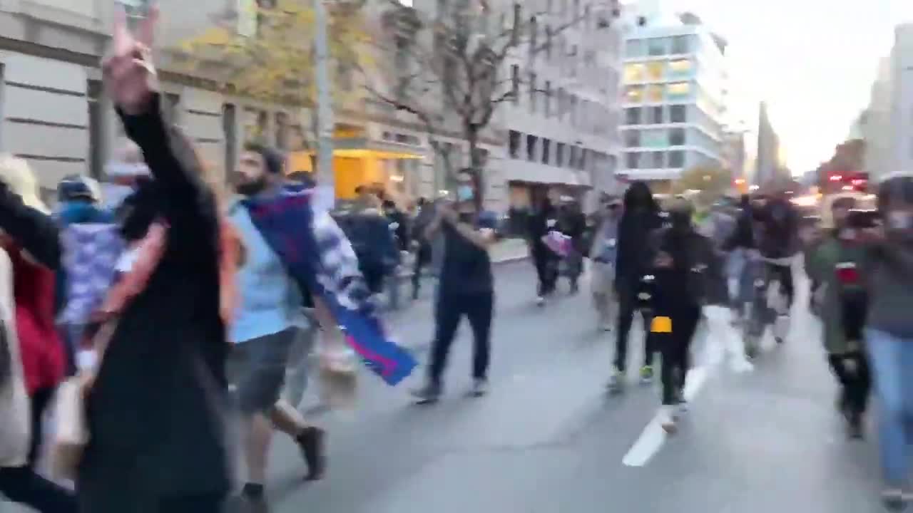 DNC sends their Goons to #MillionMAGAMarch Part 2