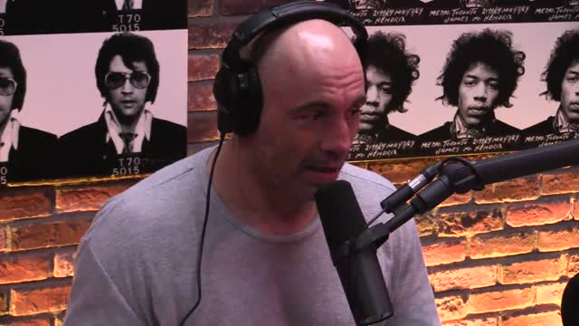 Joe Rogan Experience #911 - Alex Jones & Eddie Bravo