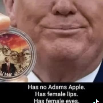 Dude Looks Like A Lady