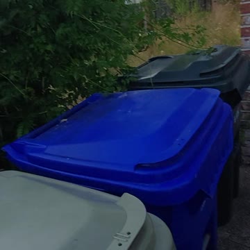 My 1979 Chevy G10 Van came out of gear