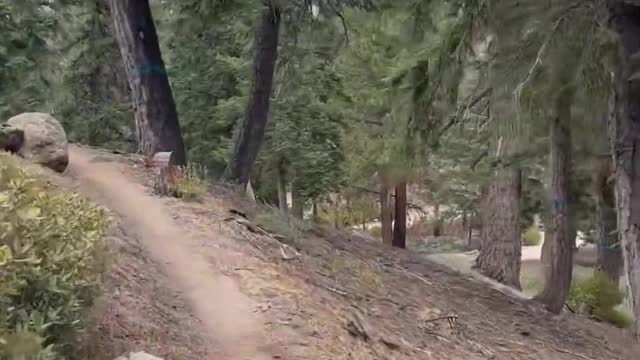 1919# MTB Trail to heavenryqKNpU