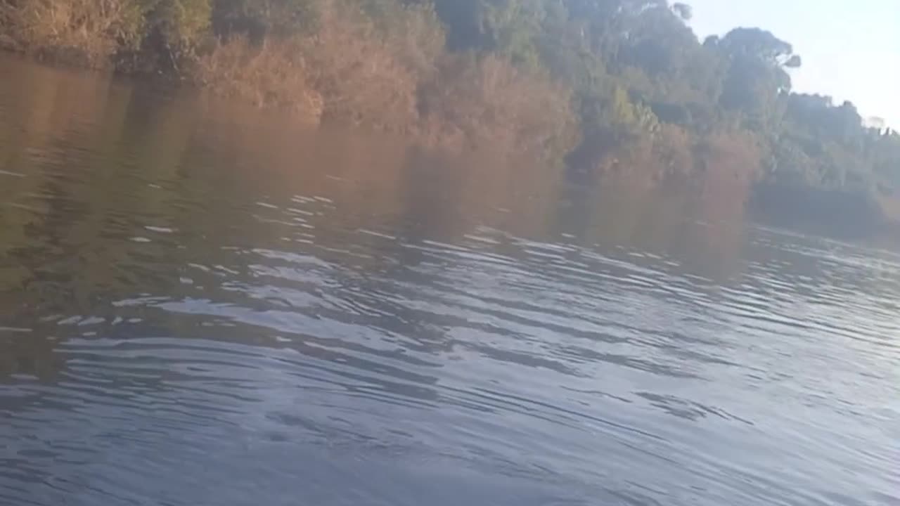 Decento o rio forqueta de caiaque