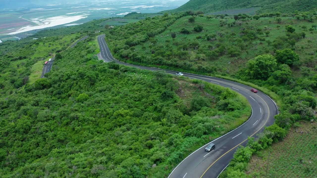 Curvy Road on a Tree-Covered Hill