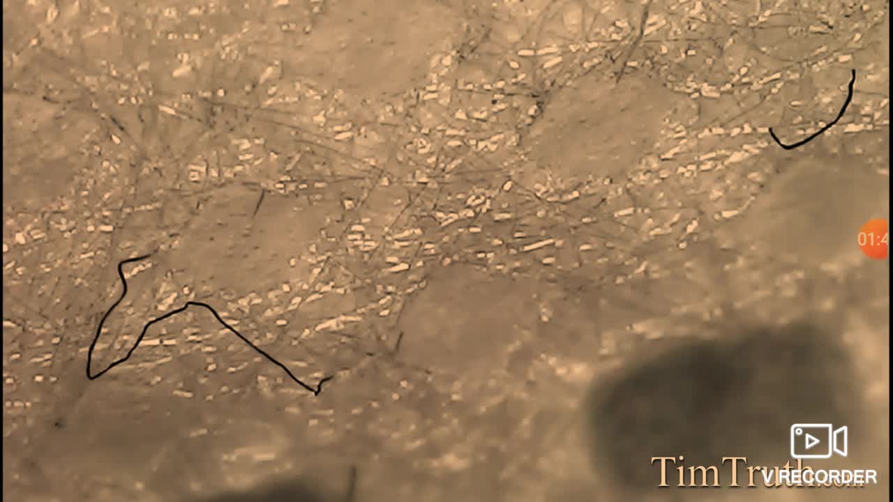 Thread documentary 2 look