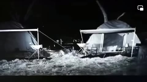 Escape from Lion
