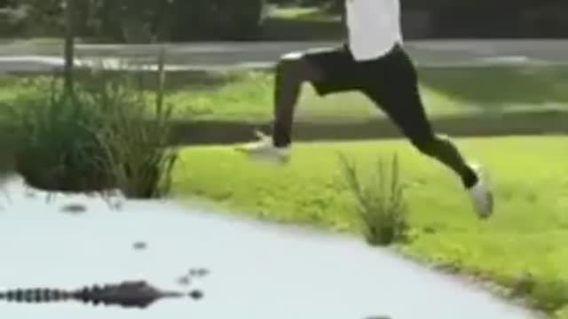 I Jumped Over Alligator's Kind Of