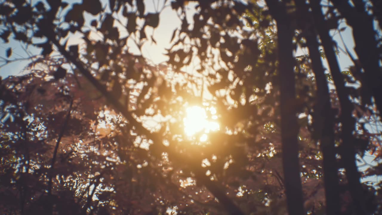 Life is strange 2 footage
