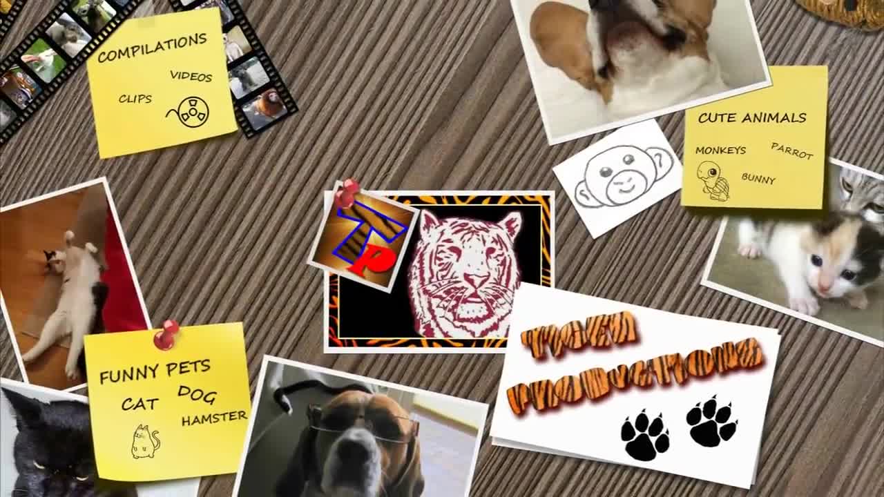 WATCH and TRY TO STOP LAUGHING SUPER FUNNY VIDEOS compilation