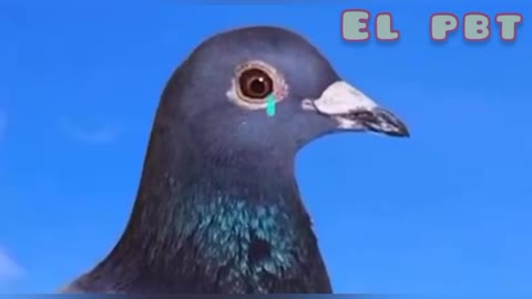 LA HISTORIA SE CUENTA SOLA.... 🤣🤣🤣🤣