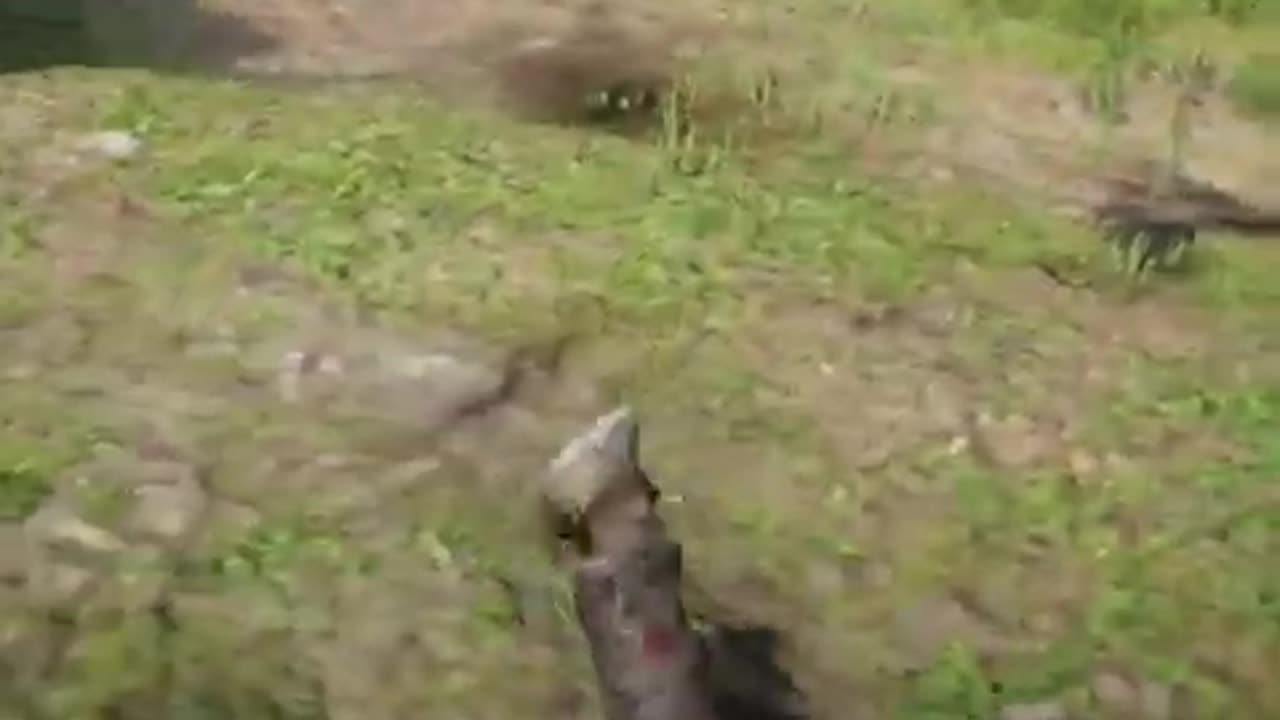Modding Red Dead 2 To Be 10x More Difficult... #shorts #gaming