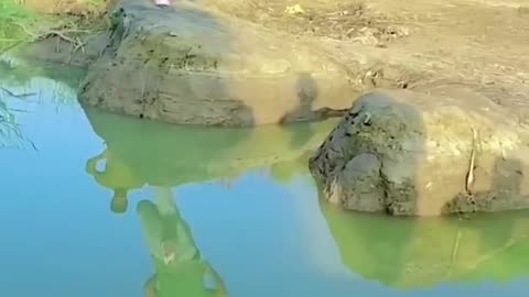 Village boy trying to cross cannel