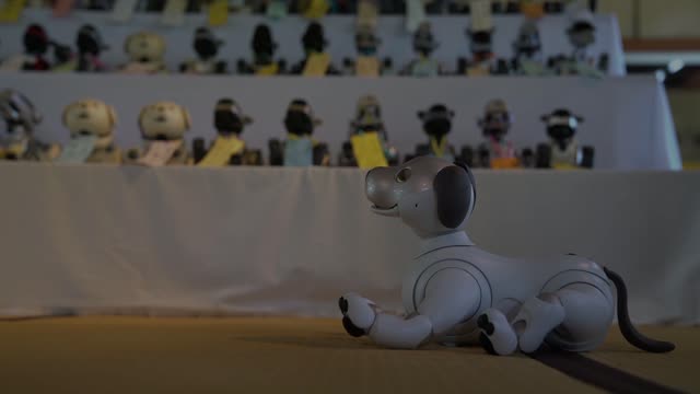 Funeral for robot dog AIBO