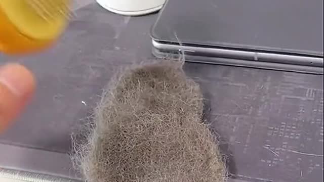 A day to bathe the cat