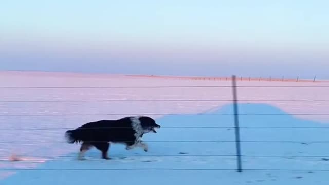 It's windy when you run