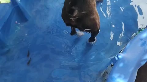 Water Fun