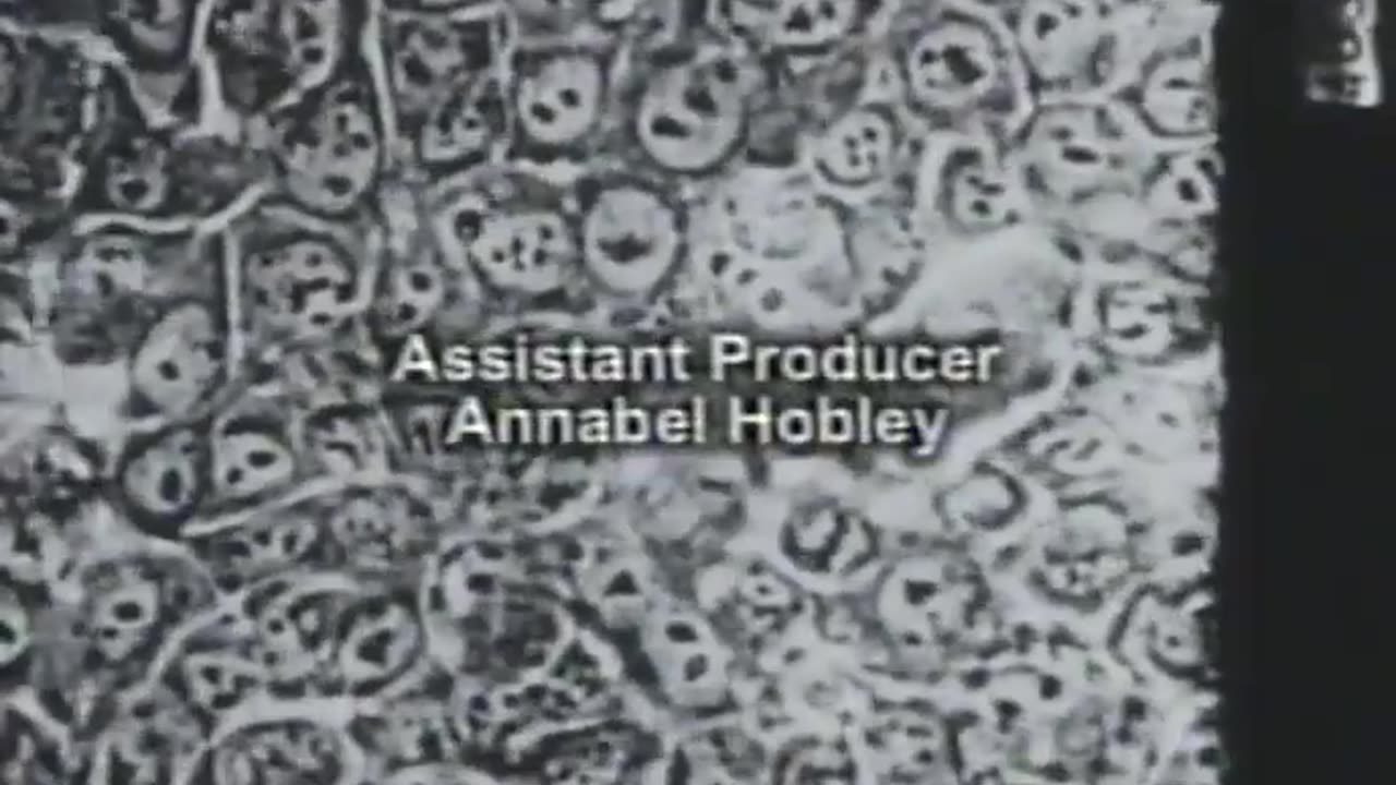 Adam Curtis - Modern Time - The Way of All Flesh (1997)