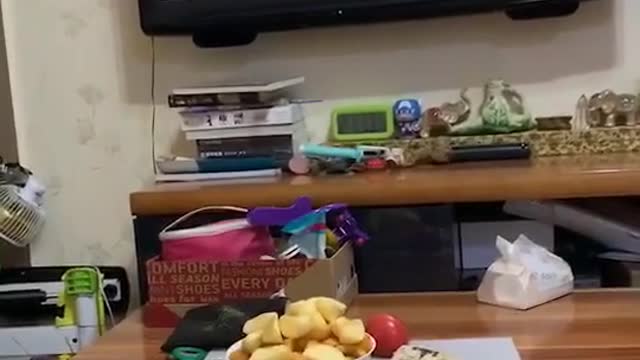 Is dinner ready? I'm starving