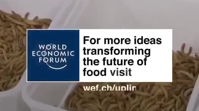 They want to serve to bugs