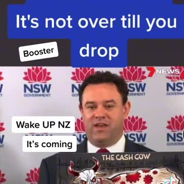 Corrupt NZ Politician Talks Lies