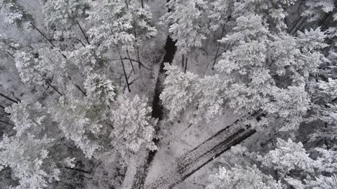 Relaxing, Soothing, Stress Relief from Drone footage of snow