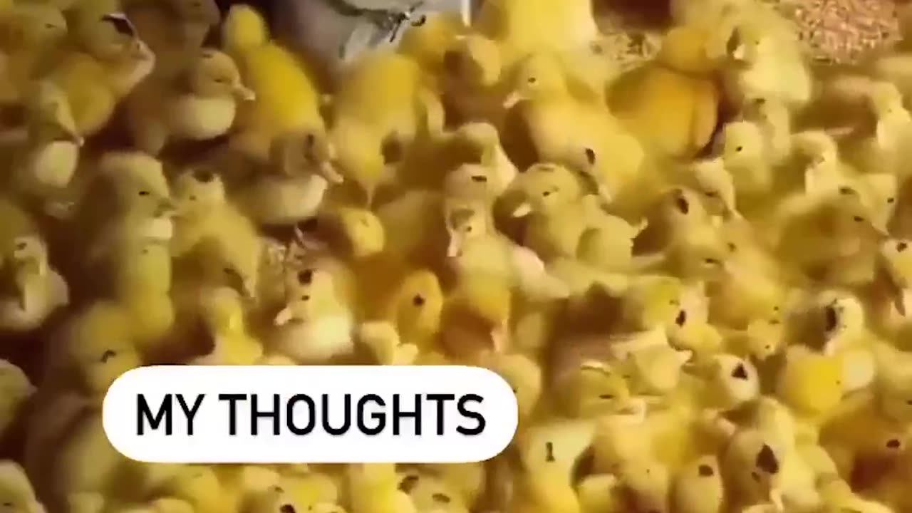 Me trying Meditation.....