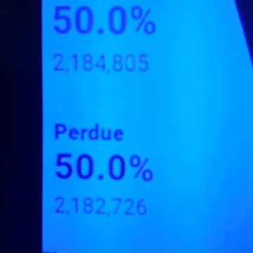 INTERNATIONAL WIDE ELECTION FRAUD VOTING MACHINE CRIME, GEORGIA RUNOFF SHAM ELECTION CRIME 204