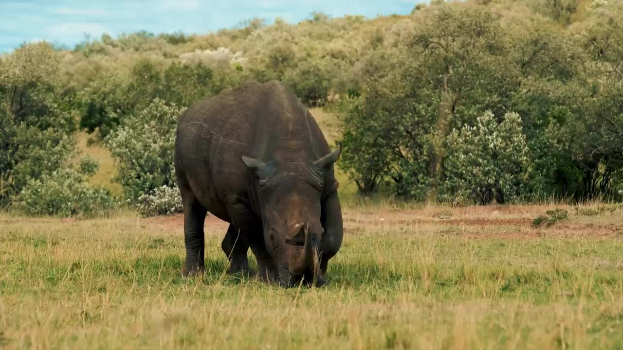 AFRICA The Lost Continent in 8K ULTRA HD - 5of19