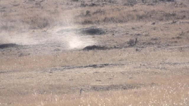 300 Win Mag vs. Prairie Dog SlowMo