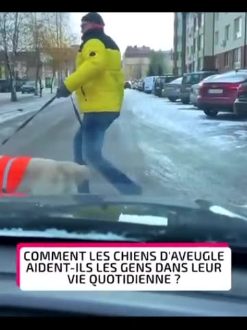 What a good dog you are 😍😍